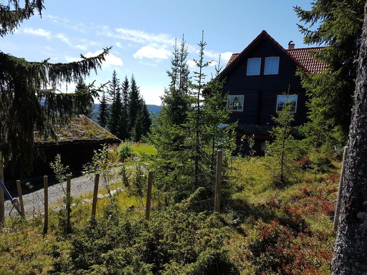 Casa San Gottardo - The Forest House, Etnedal Buitenkant foto